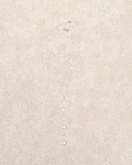 White Clear Crystal Dewdrop Necklace